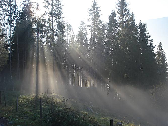 04 Sonne und Nebel